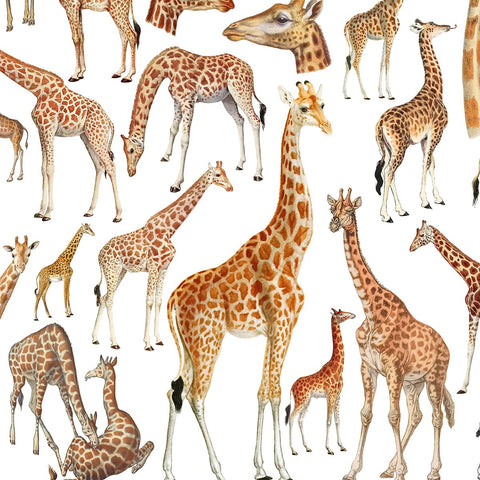 G som i Giraff - a Swedish letter poster